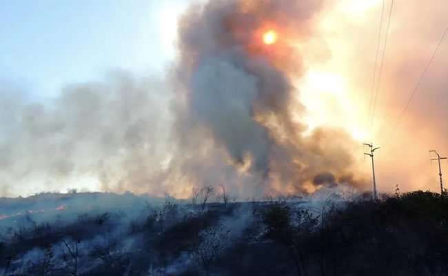 Ceará já registrou mais de cinco mil focos de incêndios em 2020