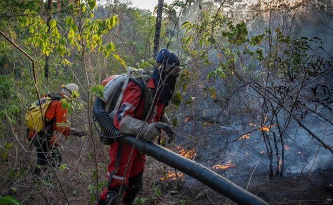 ONG Associação Rede Contra Fogo se dedica a preparar brigadistas para combater incêndios na Chapada dos Veadeiros